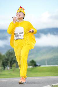 BIB: 
                            <button type="button" onclick="openModal(26541394)" class="btn btn-primary btn-sm float-right btn-popup" data-toggle="modal" data-target=".modal-high-quality">
                        <i class="fas fa-shopping-cart"></i> Add to Cart
                    </button>
                                            <button type="button" onclick="isThisMe(26541394, true)" class="btn btn-success btn-sm float-right btn-popup btn-isme hidden" data-toggle="tooltip" data-placement="bottom" title="นี่คือรูปของคุณใช่ไหม คลิกที่นี่เพื่อเอาเข้าอัลบั้ม">
                        <i class="fas fa-plus"></i> Add to album
                    </button>
                    <button type="button" onclick="isThisMe(26541394, false)" class="btn btn-warning btn-sm float-right btn-popup btn-isnotme hidden">
                        <i class="fas fa-ban"></i> Remove from album
                    </button>